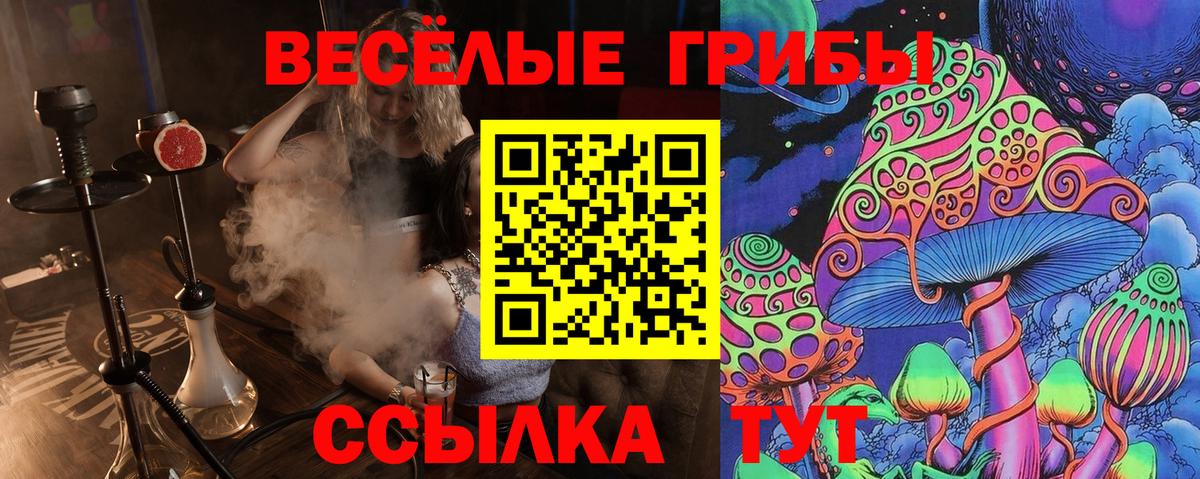 Набережные Челны  Галлюциногенные грибы мицелий  Вход с VPN 